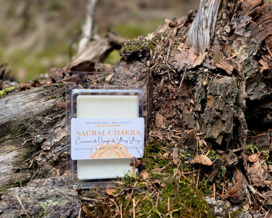 Reiki-Infused Sacral Chakra Wax Melts.