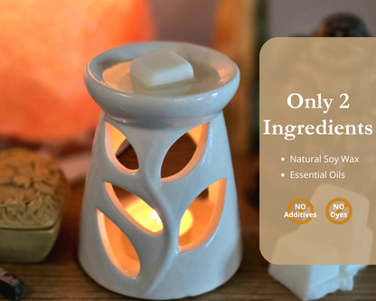 Sacral Chakra Wax Melts