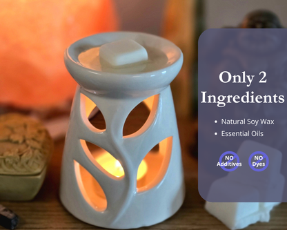 Third Eye Chakra Wax Melts